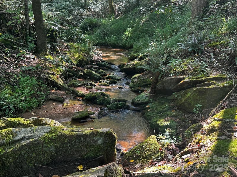 0000 Moss Hill Ln, Lake Lure, NC 28746