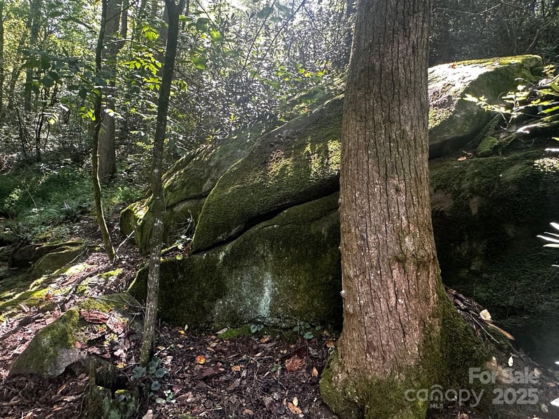 0000 Moss Hill Ln, Lake Lure, NC 28746