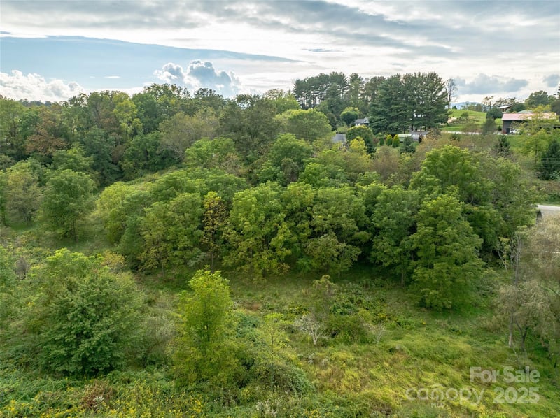 99999 Old Clyde Rd, Canton, NC 28716
