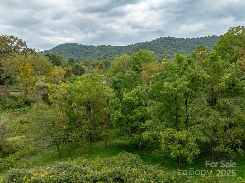 99999 Old Clyde Rd, Canton, NC 28716
