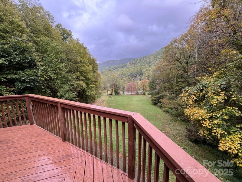 8020 Meadow Fork Rd, Hot Springs, NC 28743