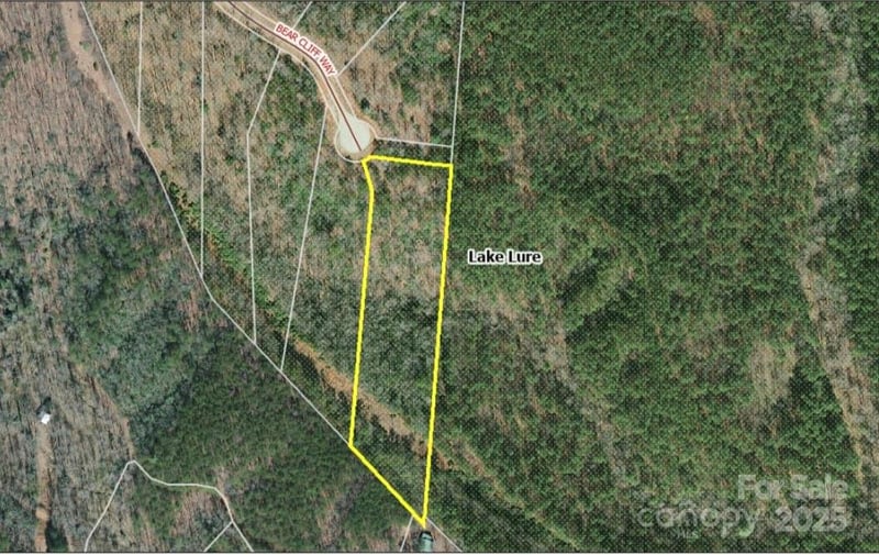 Bear Cliff Way #60, Lake Lure, NC 28746
