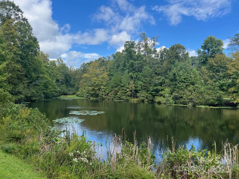 TBD Blue Horse Ln, Columbus, NC 28722