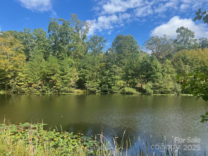 TBD Blue Horse Ln, Columbus, NC 28722