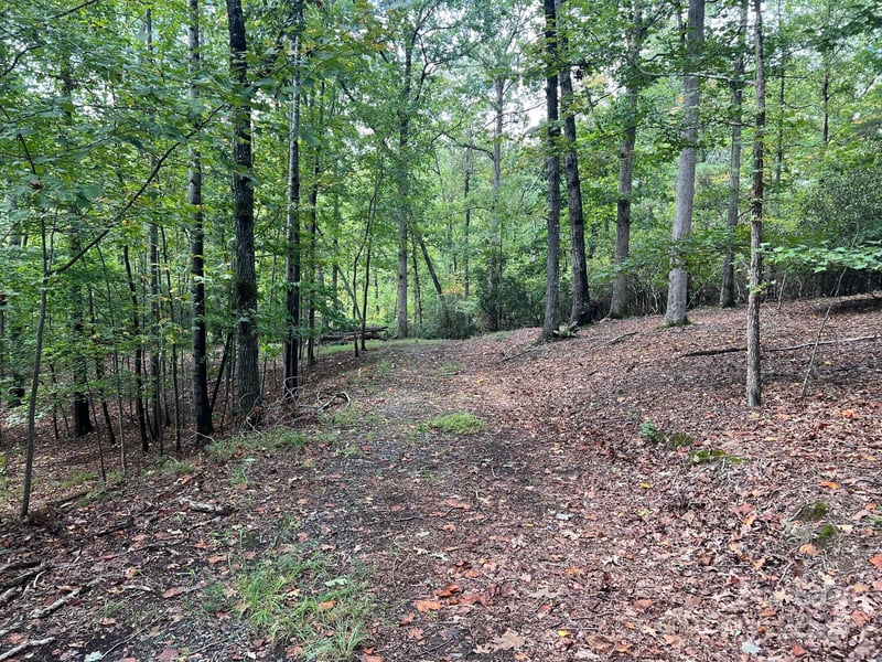 TBD Blue Horse Ln, Columbus, NC 28722