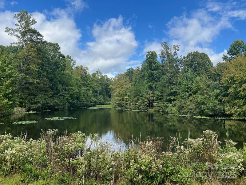 TBD Blue Horse Ln, Columbus, NC 28722