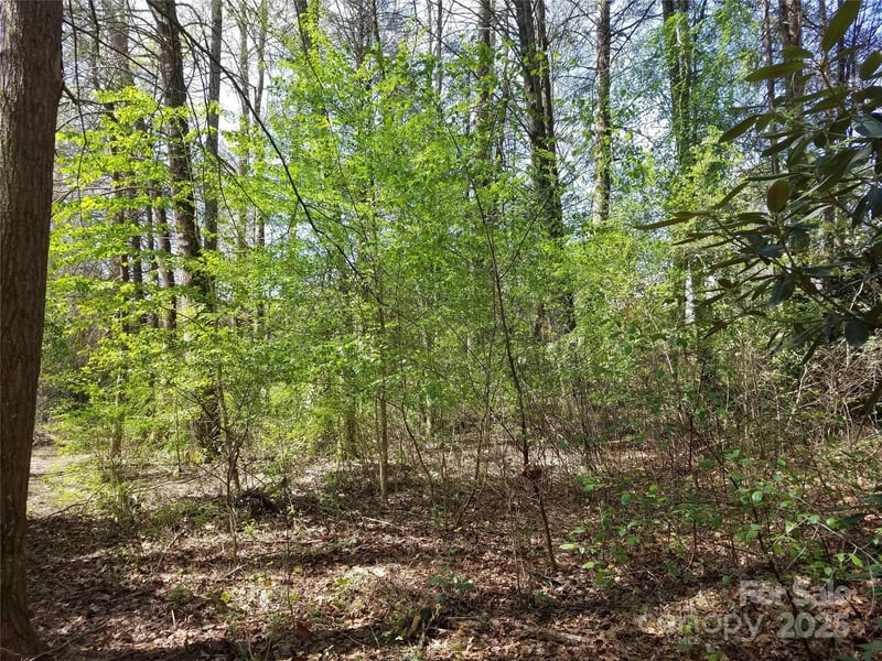 193 Ansel Way, Hendersonville, NC 28792