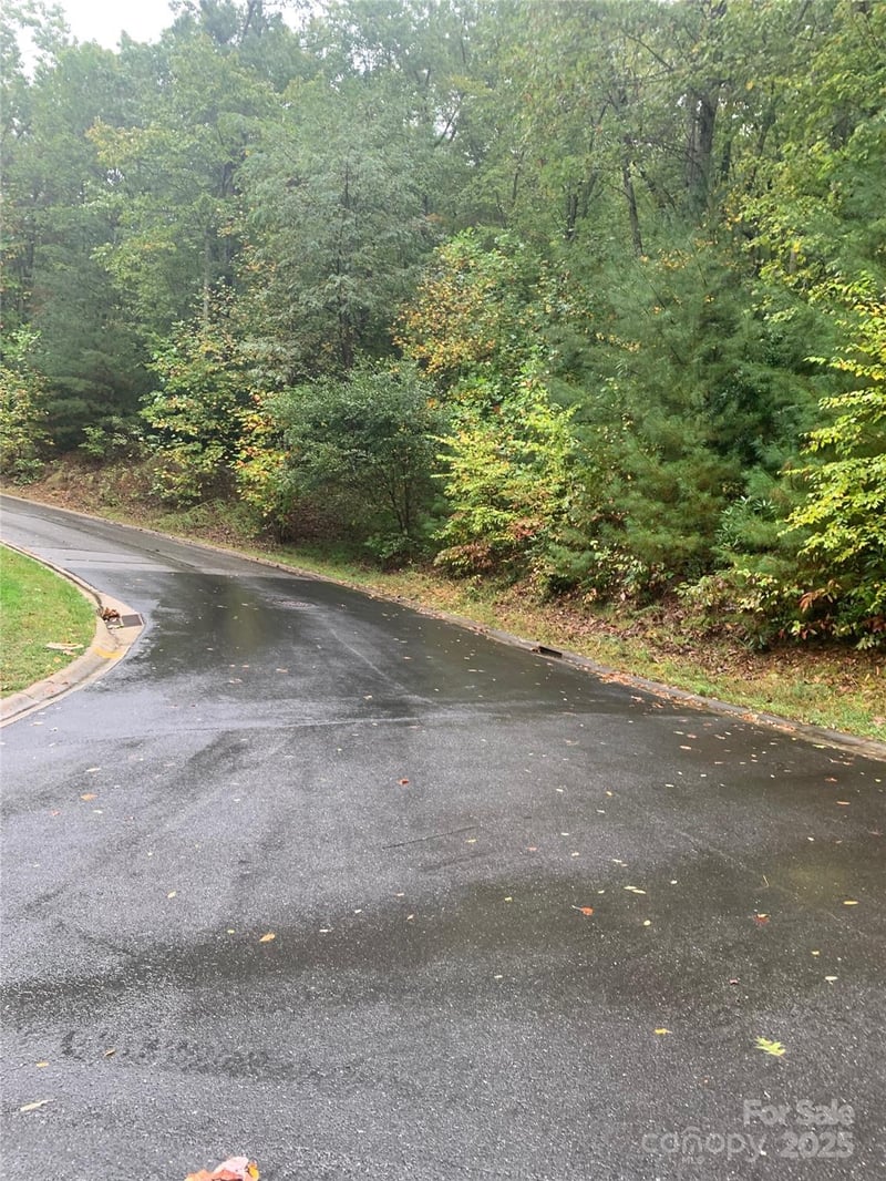208 Settings Blvd #248, Black Mountain, NC 28711