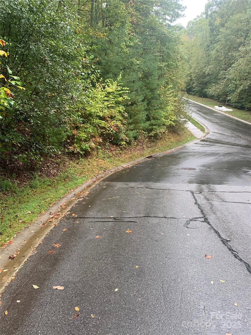 208 Settings Blvd #248, Black Mountain, NC 28711