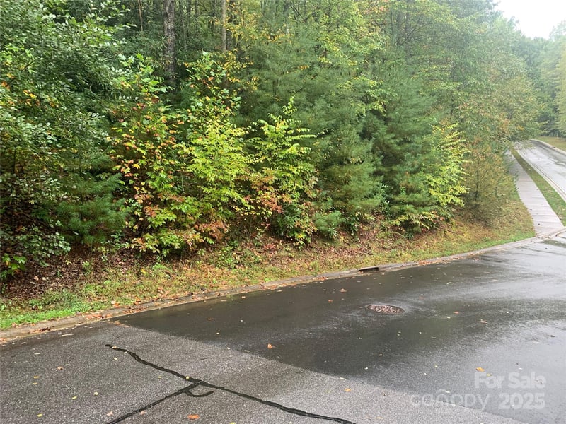208 Settings Blvd #248, Black Mountain, NC 28711