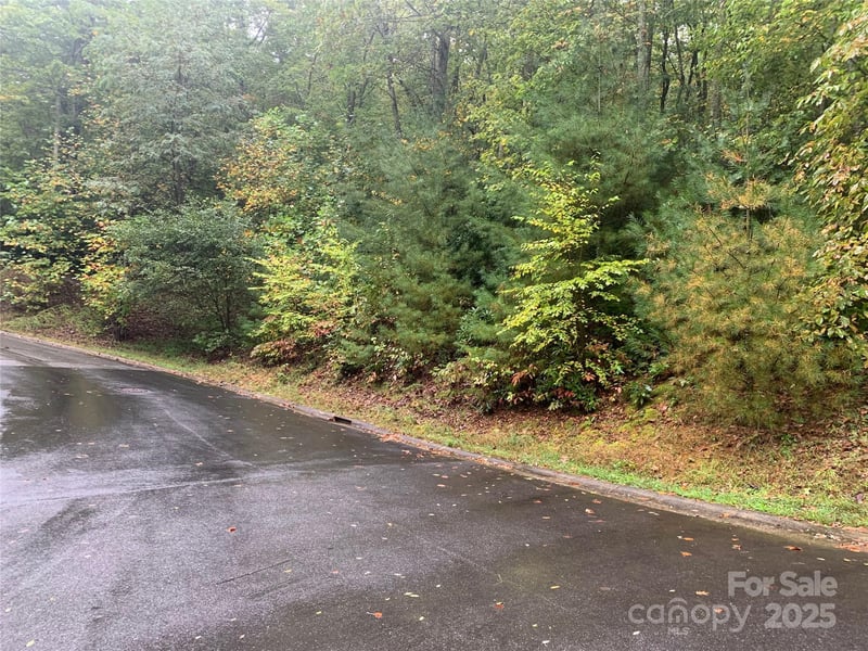 208 Settings Blvd #248, Black Mountain, NC 28711
