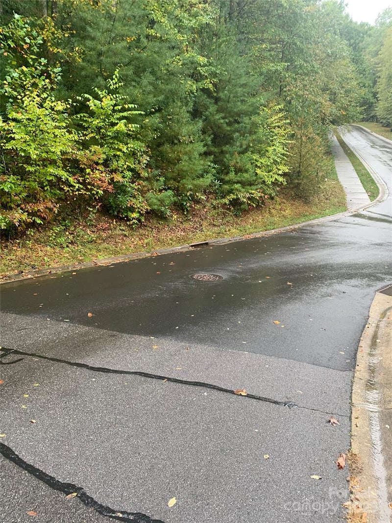 208 Settings Blvd #248, Black Mountain, NC 28711