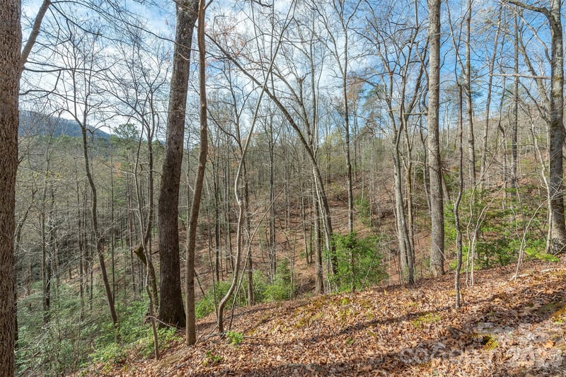 99999 Trillium Ln #7, Lake Lure, NC 28746