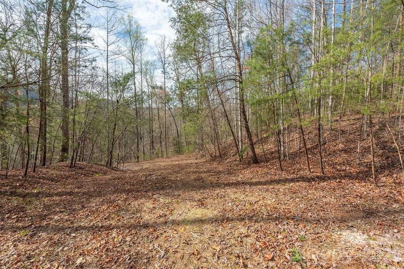 99999 Trillium Ln #7, Lake Lure, NC 28746