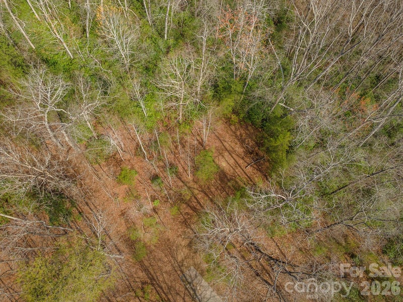 99999 Trillium Ln #7, Lake Lure, NC 28746