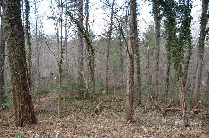 99999 Horizon Hill Rd, Asheville, NC 28804