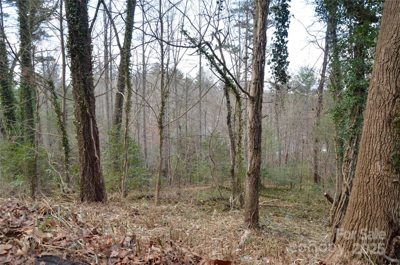 99999 Horizon Hill Rd, Asheville, NC 28804