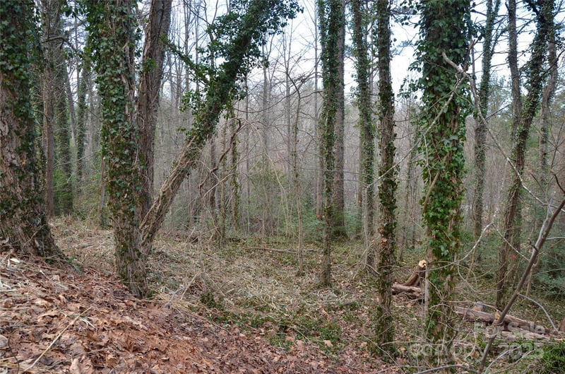 99999 Horizon Hill Rd, Asheville, NC 28804