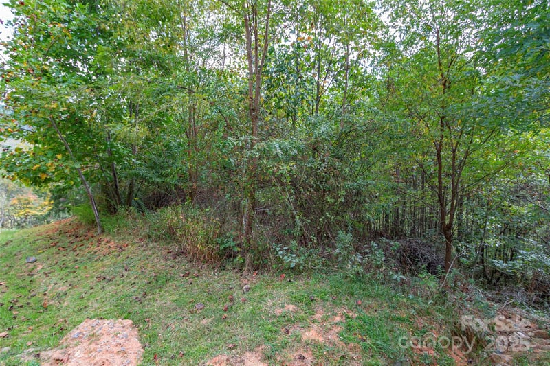 Majestic Mountain Dr #11, Burnsville, NC 28714
