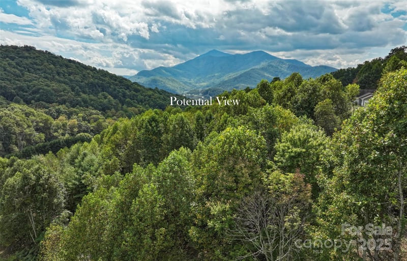Majestic Mountain Dr #11, Burnsville, NC 28714