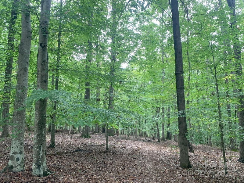 Fawn Ln, Waxhaw, NC 28173