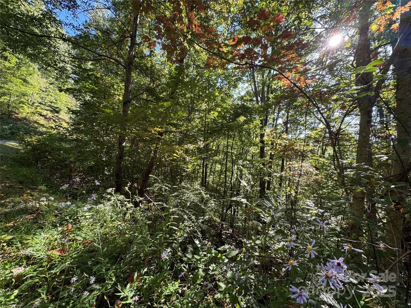 400 High Hickory Trl #25, Swannanoa, NC 28778