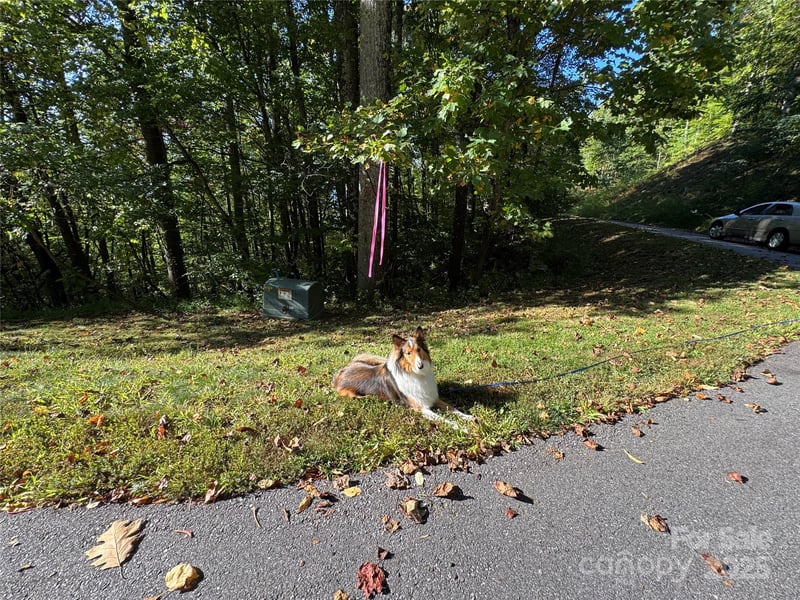 400 High Hickory Trl #25, Swannanoa, NC 28778
