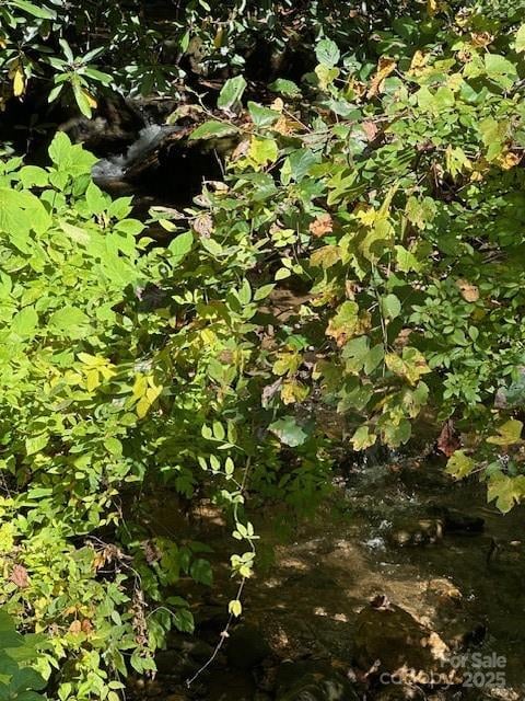 H16-H17 Shady Grove Rd, Tuckasegee, NC 28783