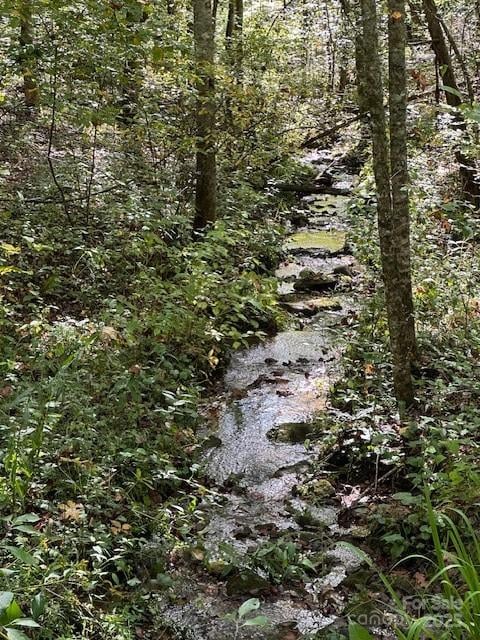 H16-H17 Shady Grove Rd, Tuckasegee, NC 28783