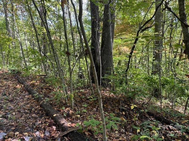 H16-H17 Shady Grove Rd, Tuckasegee, NC 28783