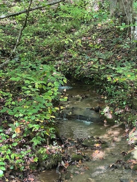 H16-H17 Shady Grove Rd, Tuckasegee, NC 28783