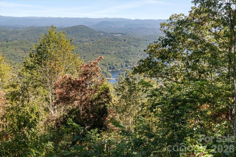 1544 Panthertown Rd, Lake Toxaway, NC 28747