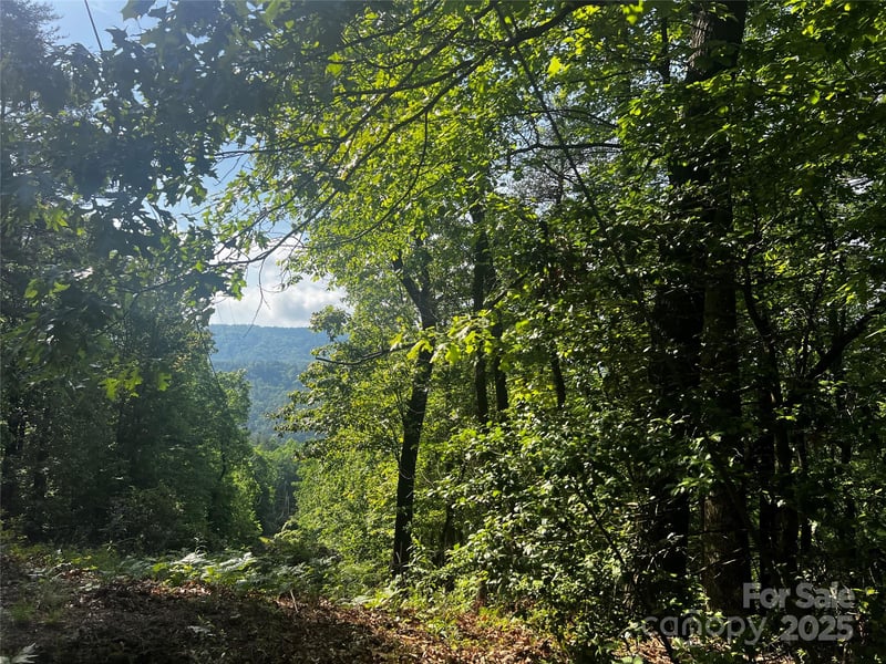 Lot 14R Arrowhead Rg #14 Revised, Brevard, NC 28712