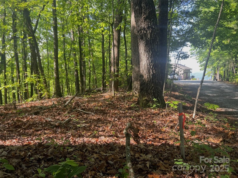 Lot 14R Arrowhead Rg #14 Revised, Brevard, NC 28712