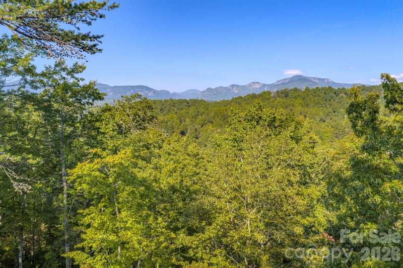 Willow Top Ln #332, Lake Lure, NC 28746