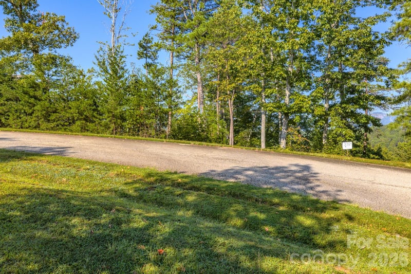 Willow Top Ln #332, Lake Lure, NC 28746