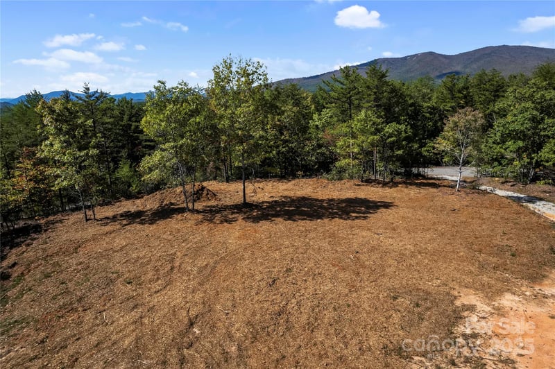9028 Shortoff View Ter, Nebo, NC 28761