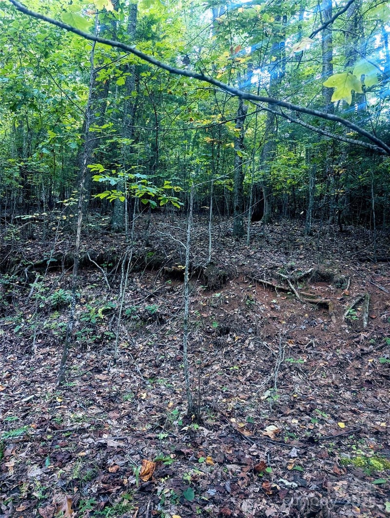 Luxury Lake None #5A/6A/7A, Etowah, NC 28739