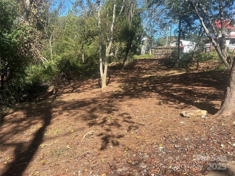 1 View St #5, Portion 3, Woodfin, NC 28804