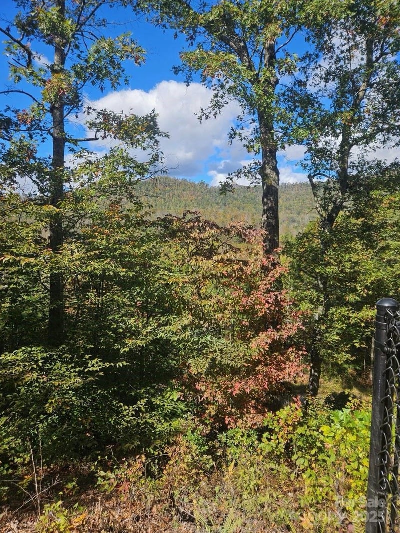 493 Spring Hill Rd, Bakersville, NC 28705