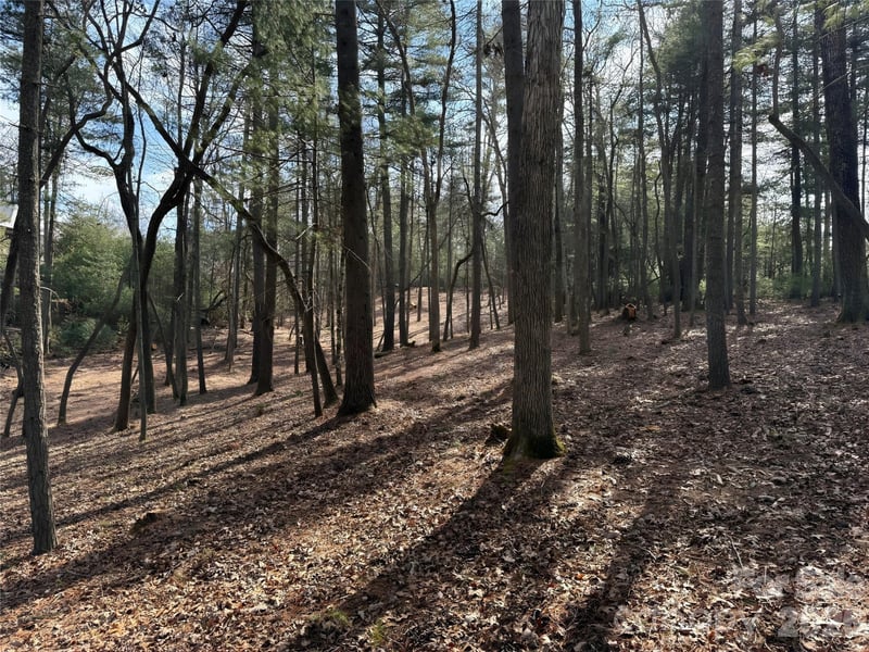 Cedar Hill Dr #24, Asheville, NC 28803