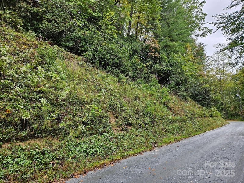 Rainbow Cir #8, Lake Lure, NC 28746