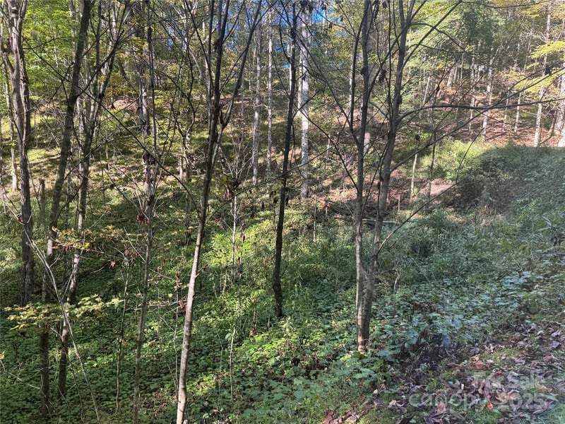 9 Susanna Cv, Mars Hill, NC 28754