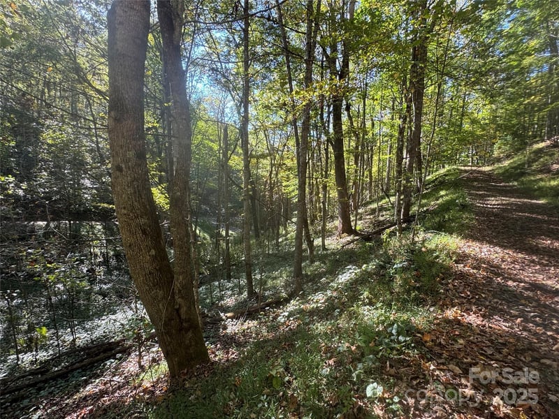 9 Susanna Cv, Mars Hill, NC 28754