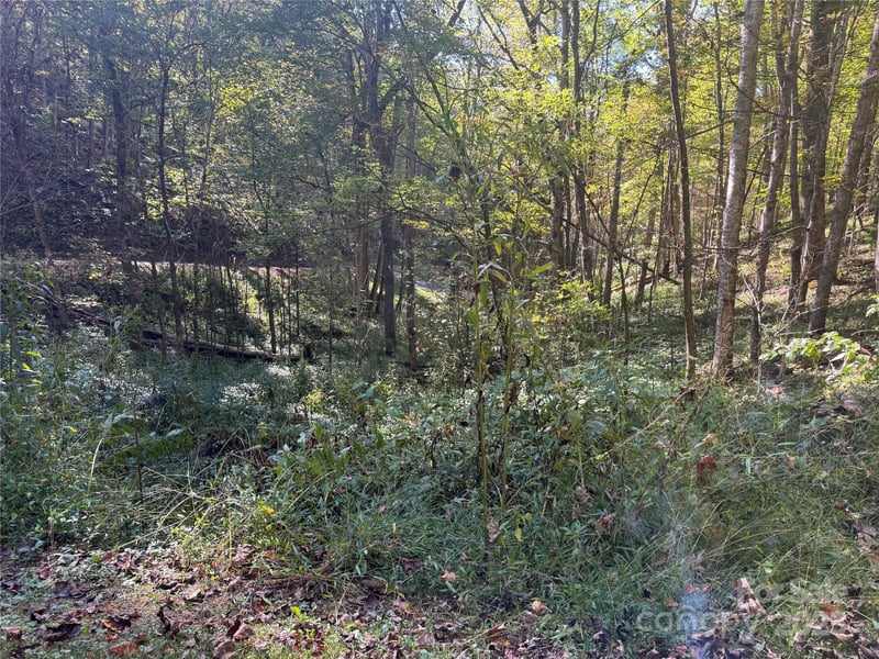 9 Susanna Cv, Mars Hill, NC 28754