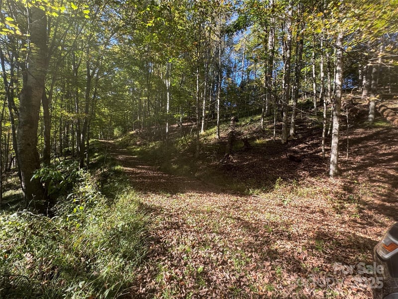 9 Susanna Cv, Mars Hill, NC 28754