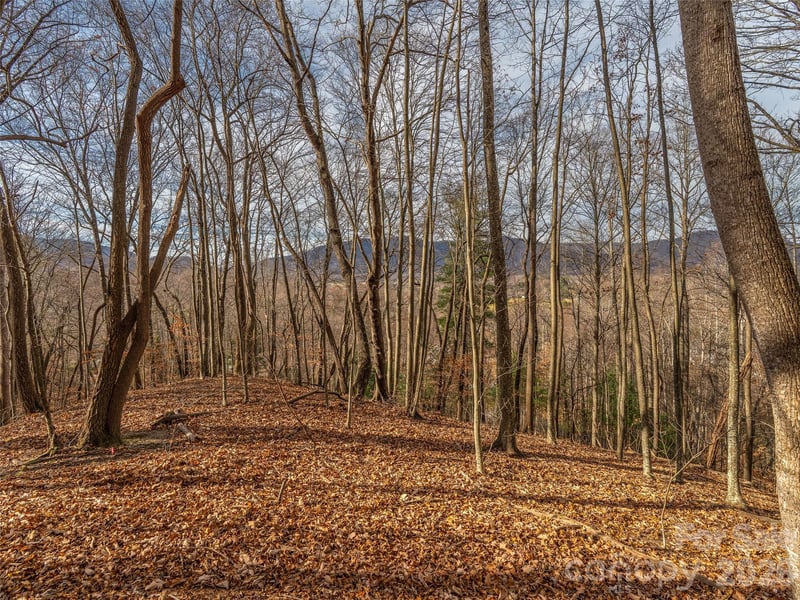 75 Lindon Cove Rd, Candler, NC 28715