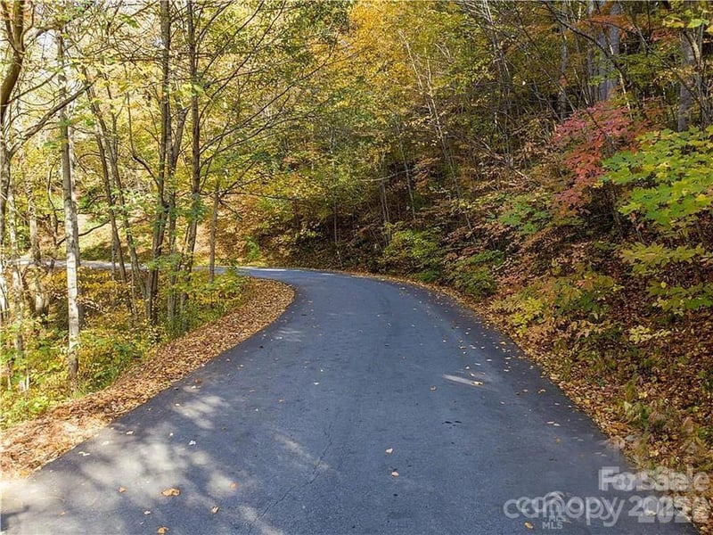 75 Lindon Cove Rd, Candler, NC 28715