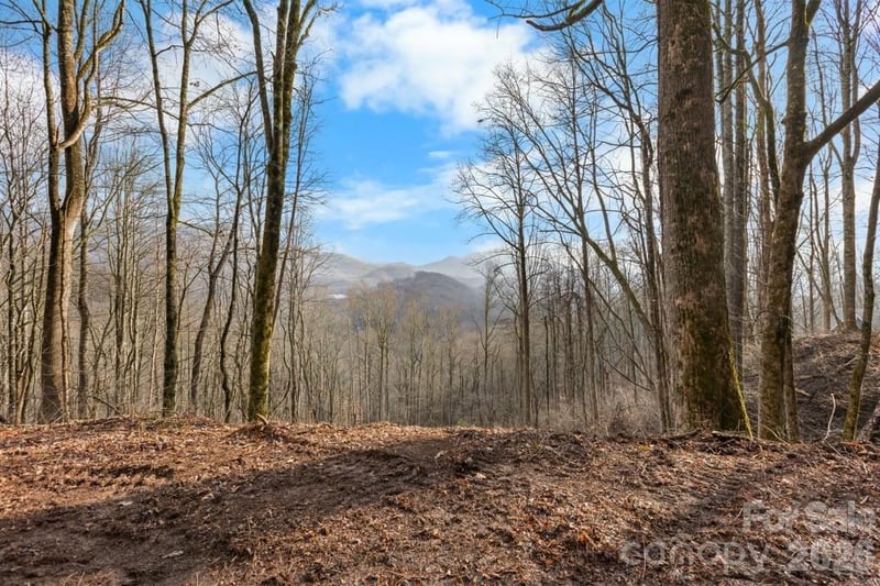 TBD Happy Ridge Ln, Sylva, NC 28779