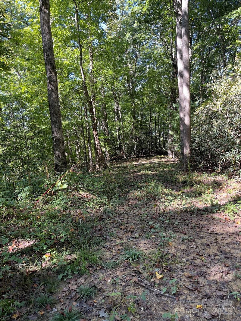 Empress Ln, Henderson, NC 28792